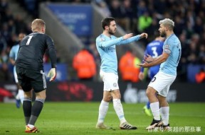 开云体育app-卡迪夫连胜收官，英超积分榜上的表现引人瞩目()